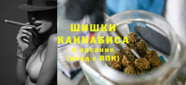 сатива Верхнеуральск
