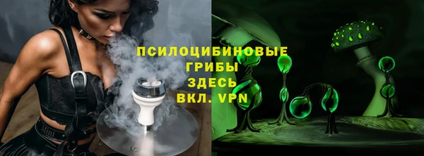 spice Бородино