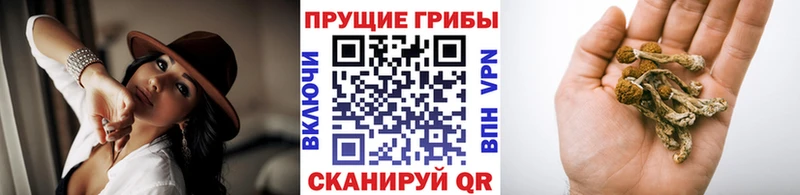 hydra как войти  Ессентукская  Галлюциногенные грибы мухоморы 